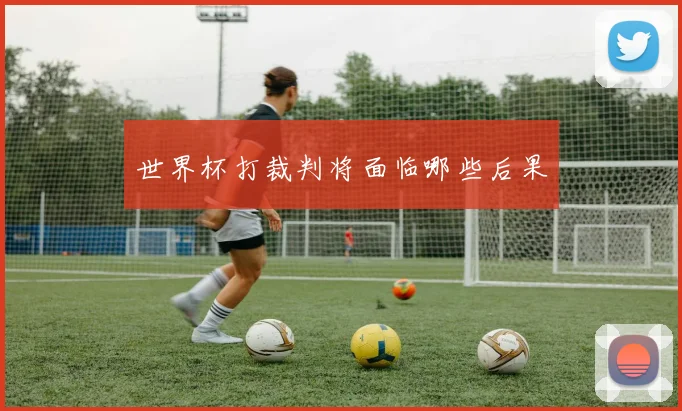 世界杯打裁判将面临哪些后果