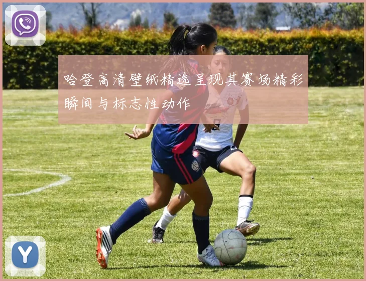 哈登高清壁纸精选呈现其赛场精彩瞬间与标志性动作