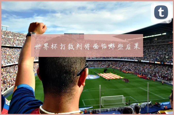 世界杯打裁判将面临哪些后果